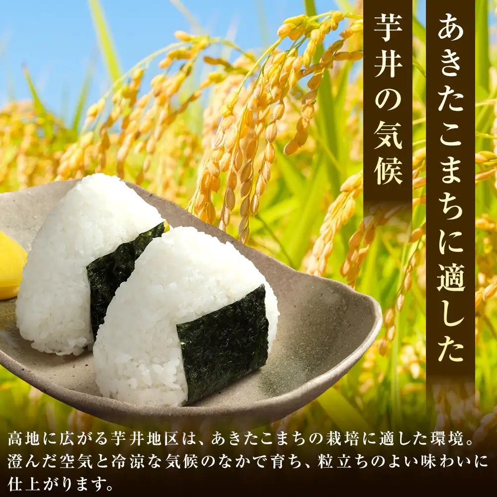 【令和8年産】【3ヶ月連続お届け】　信州長野市芋井産　あきたこまち　5ｋｇ | 米 あきたこまち 定期便 精米