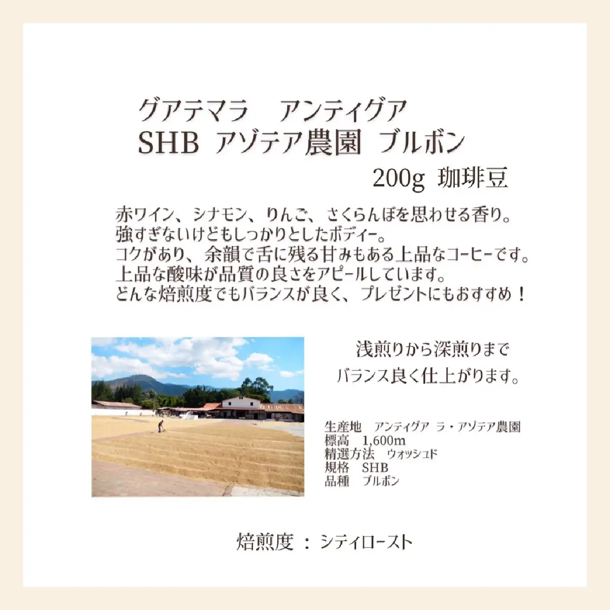【上田珈琲豆焙煎堂】珈琲豆 中深煎り セット 200g×2種 セット ブラジルブルボン・グアテマラSHB【豆】 HNNBM007