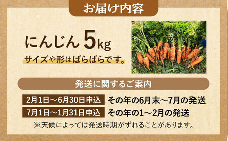 　【先行予約】　自然栽培のにんじん 5kg 多治見市 / ほたるファーム にんじん ニンジン 5キロ[TEB008]
