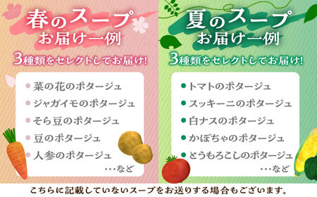 【6回定期便】 季節の野菜のポタージュ 6食セット (3種類×2食) 2か月ごとにお届け 冷凍 多治見市 / ほたるファーム[TEB012]