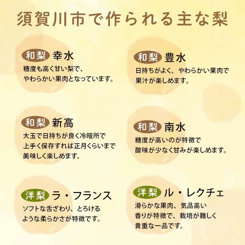 渡辺果樹園の南水梨 約3kg＜9月上旬～9月下旬にお届け＞ F7X-0884