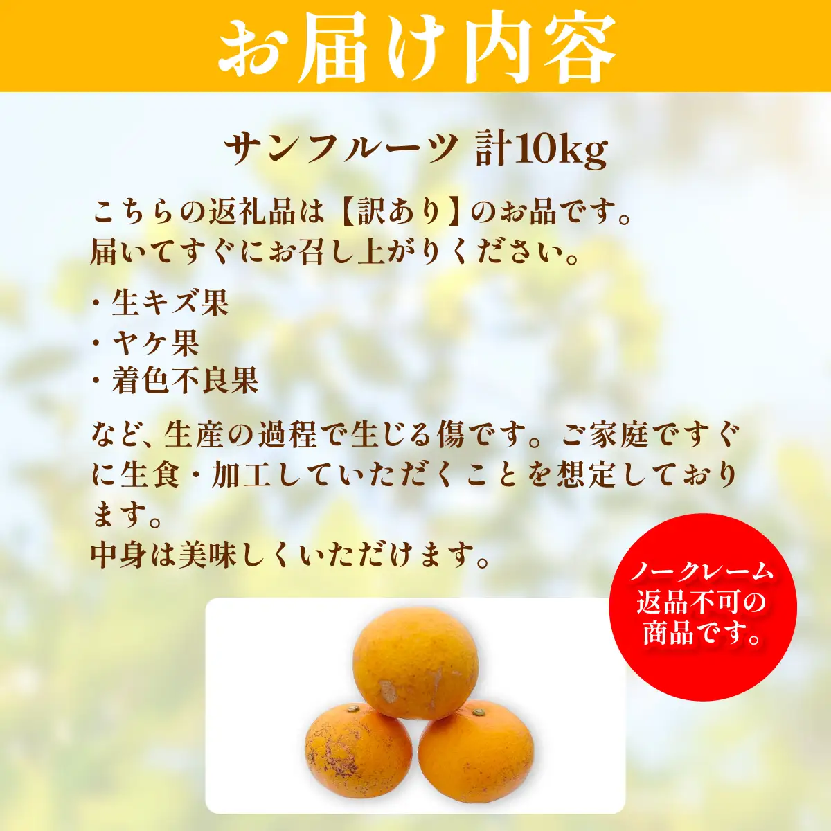 【先行予約】【訳あり】浅野農園のサンフルーツ 計10kg ※離島への配送不可（2027年3月中旬頃より順次発送予定） IKTAC011