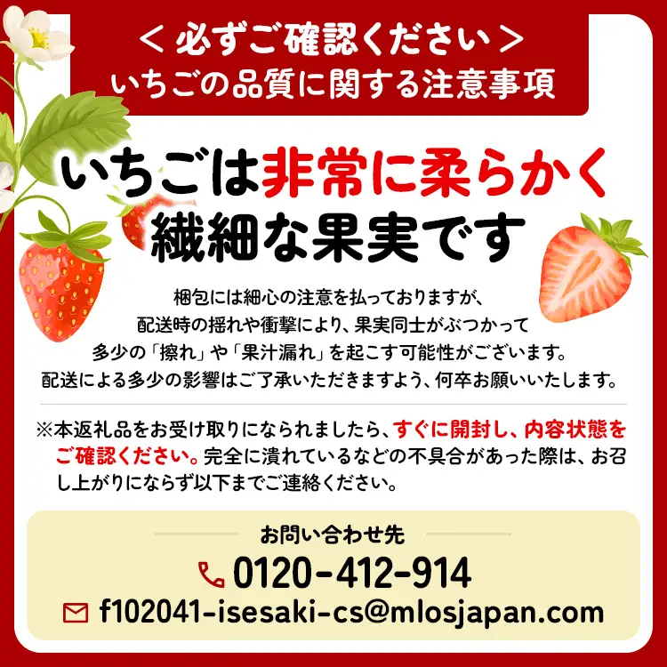【いちご博総合大賞】やよいひめ 約800g | いちご 苺 イチゴ ストロベリー 冷蔵 甘い 新鮮 完熟 大粒 果物 フルーツ 産地直送 農家直送 国産 人気 おすすめ 高級 ギフト 贈答 プレゼント お祝い 大賞受賞 高評価 群馬県 伊勢崎市 先行受付 先行予約 ※2027年1月～発送