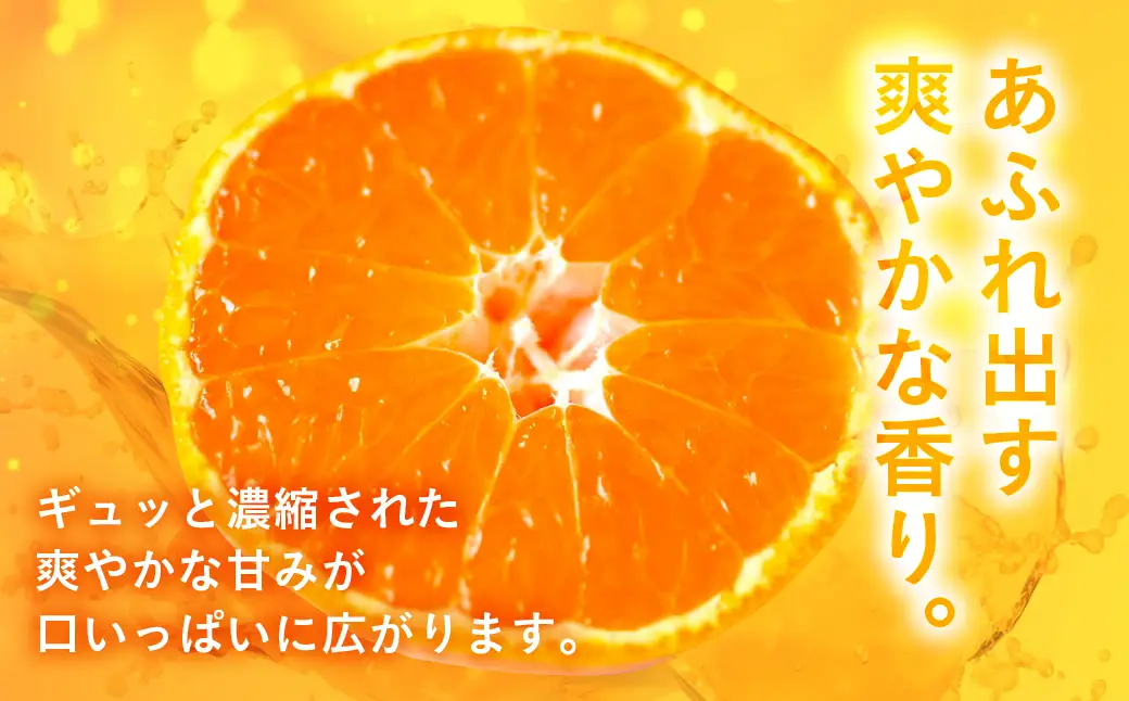 【先行予約】伊良湖 温室みかん 2kg みかん フルーツ