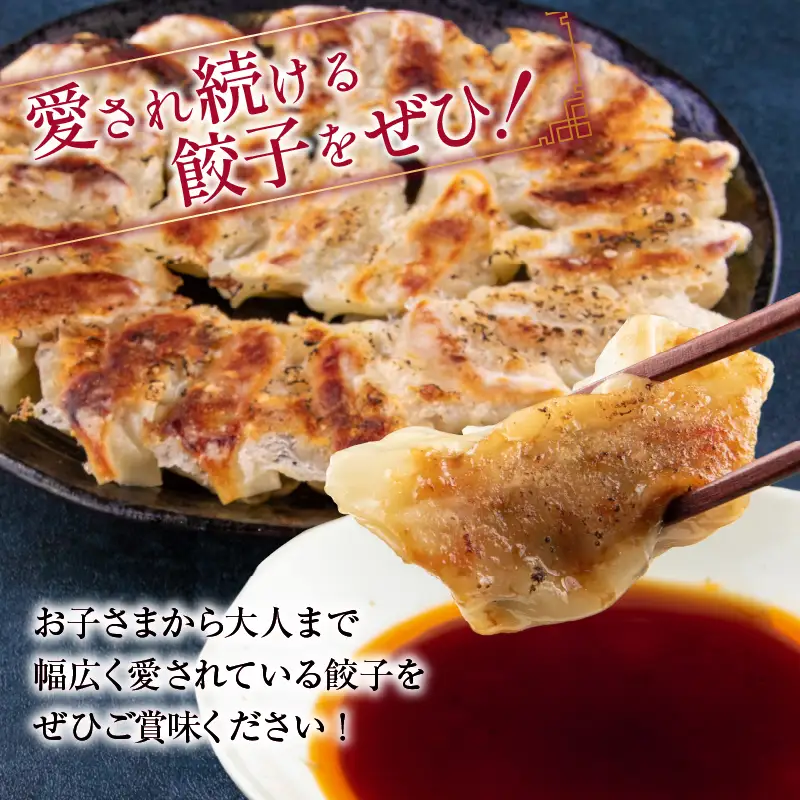 焼くだけ!! 簡単調理 焼肉餃子 20個 × 10パック 計200個_DB33-25