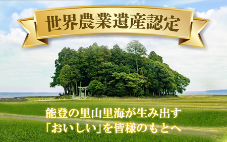 【新米】のと米（新米/精米10kg）｜米 こしひかり コシヒカリ 能登 のと お米 令和7年産