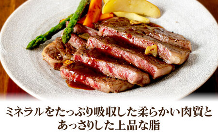 A4～A5ランク壱岐牛サーロインステーキ 200g×3枚 [JBO152] FN-Limited-SP