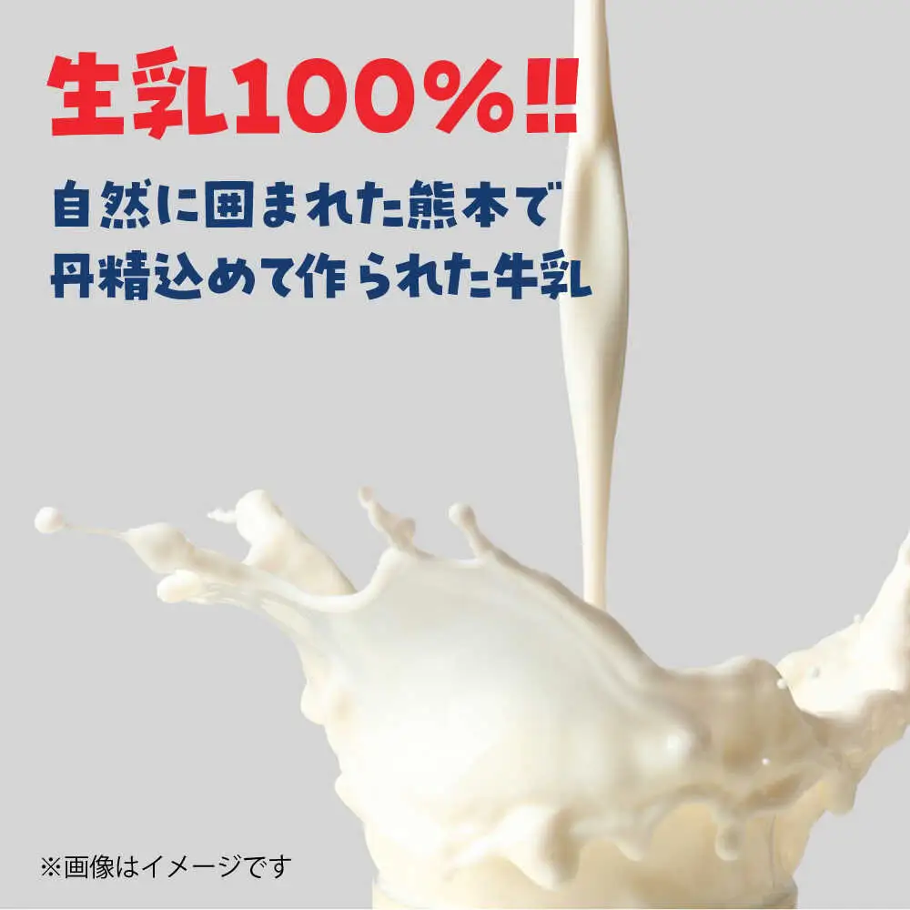大阿蘇牛乳 250ml×24本入 牛乳[AYAB021]