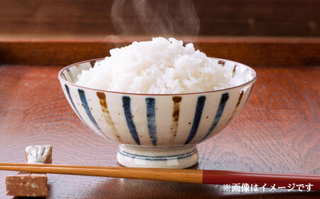 いちじょう 米（品種 にこまる） 精米 2kg 熊本県産 お米[AYAB022]