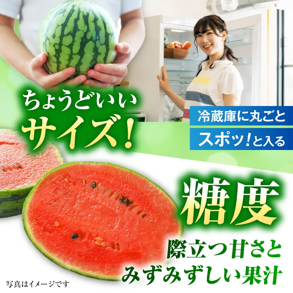 【先行予約】【2027年4月中旬より順次発送】小玉すいか 1玉入（約2.5kg～3kg） スイカ[AYAB023]