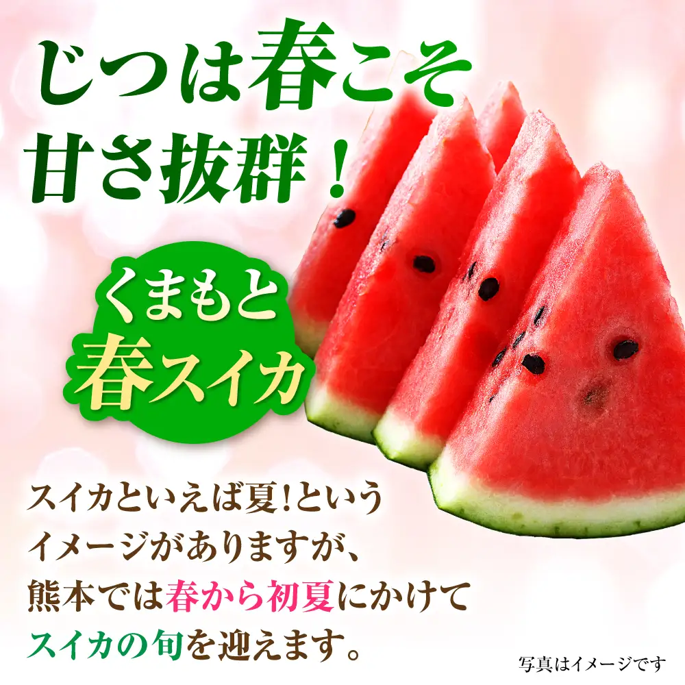 【先行予約】【2027年4月中旬より順次発送】大玉すいか 2玉入（1玉 約7kg） スイカ[AYAB057]