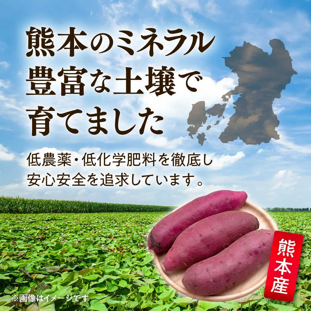 紅はるか さつまいも 秀品 約10kg S?2Lサイズ混合 さつまいも[AYAT005]