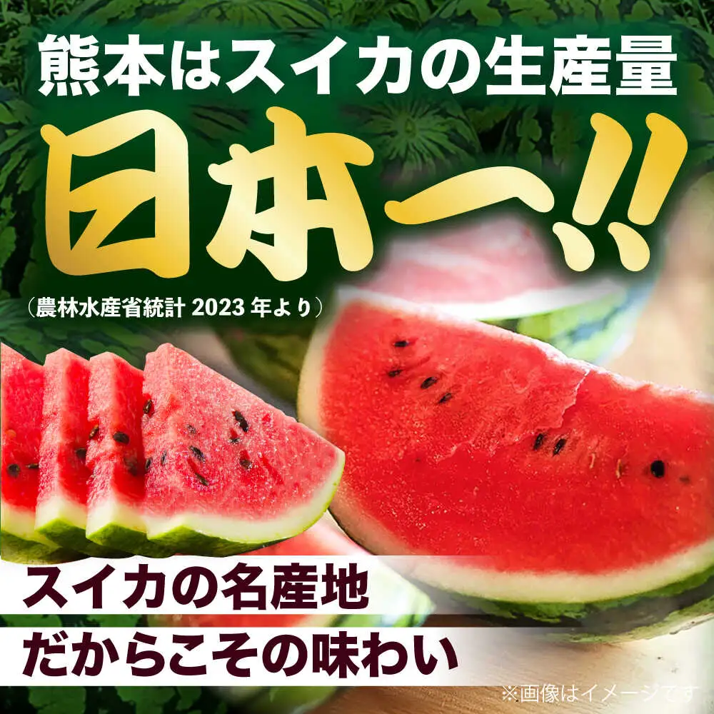 令和8年熊本地震復興支援 先行予約2027年5月下旬より発送 訳あり大玉スイカ1玉約6~9kg数量限定スイカすいか家庭用AYAT007