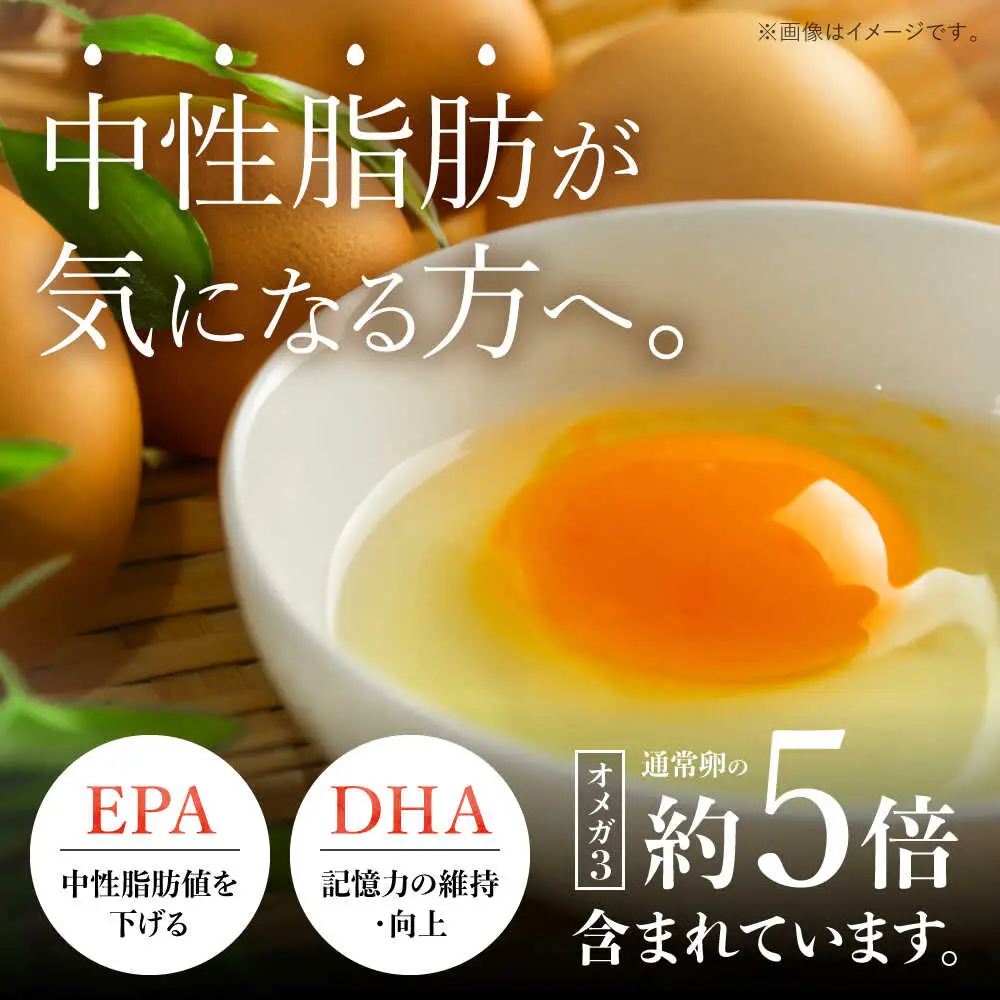 竹林かぐや姫平飼いオメガ有精卵 36個入 卵[AYBG001]