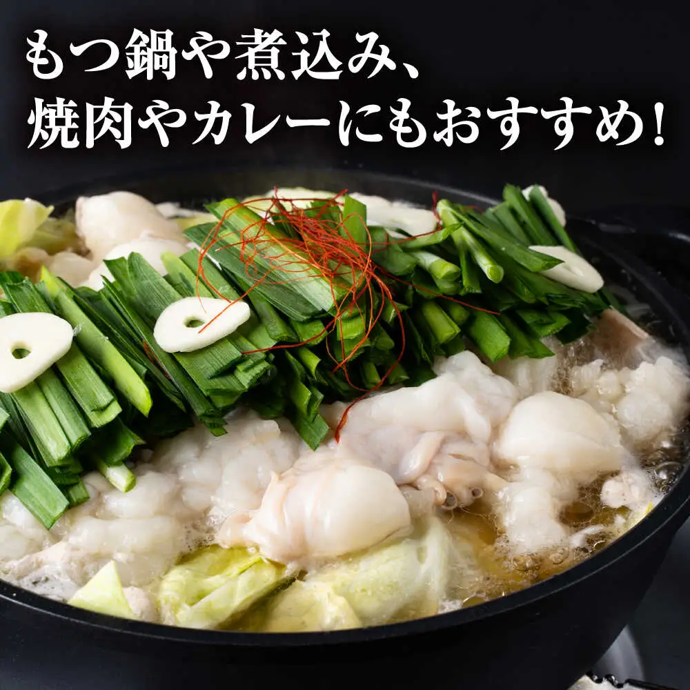 【全3回定期便】 赤牛 ホルモン 500g（250g×2パック） / 小腸 シロホルモン もつ 熊本県産 冷凍[AYBV007]