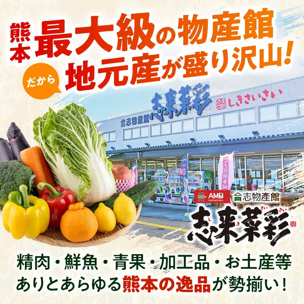 【全3回定期便】旬な野菜おまかせ詰め合わせセット 野菜 [AYCA003]