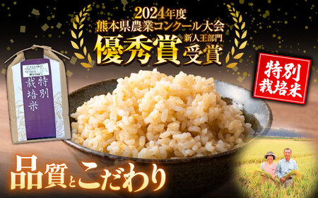 【令和7年度】 【全6回定期便】 くまさんの輝き 玄米 5kg 計30kg 玄米[AYCC026]