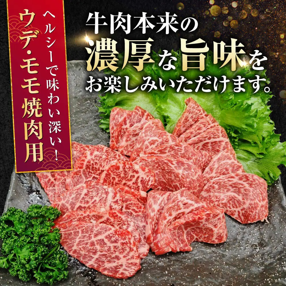 【全12回定期便】熊本県産 A5等級 黒毛和牛 和王 ウデ・モモ 焼肉用 約400g 計約4.8kg 焼肉[AYCH022]
