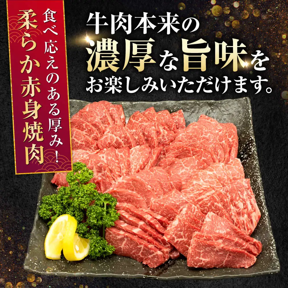 A5等級黒毛和牛 柔らか赤身焼肉約300g×4P計約1.2kg黒毛和牛AYCH095