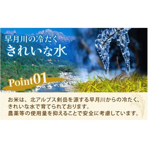 25年10月中旬以降順次発送 精米  5kg 富山県滑川産「てんこもり」与文のお米 / 産地直送 袋 ブランド米 お米 白米 ご飯 ごはん 富山 滑川市 アグリめぐみ [A-050004]