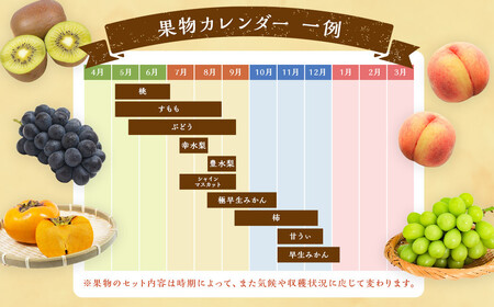 旬の果物 詰め合わせ セット 福岡県産 フルーツ 季節 果物 【2026年6月上旬から11月上旬頃発送予定】