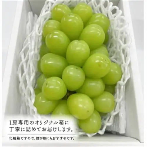 【きよとうファーム】【数量限定】大粒シャインマスカット厳選品1房 /700g以上(岡山県産)【配送不可地域：離島】【1553190】