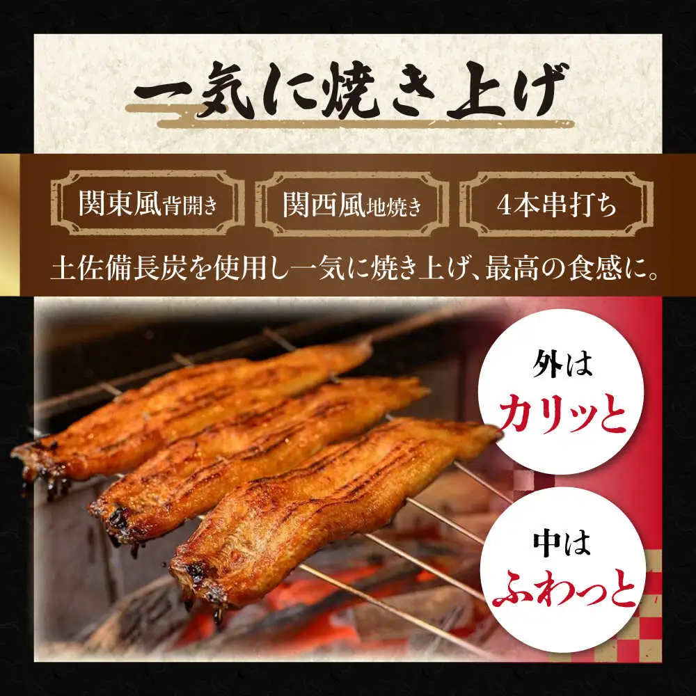 【ご贈答用】 桐箱入り高知焼き 高級 鰻 蒲焼2尾 〈熨斗対応可能〉 / うなぎ 鰻蒲焼き ウナギかば焼き 贈答 【鰻HASHIMOTO】 [ATDX003]