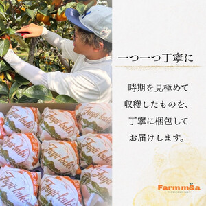 【先行予約】Farm m&aの富有柿 3L×10個 秀品 岐阜県 大野町（2026年11月下旬～発送）農家直送 果物 フルーツ 秋の味覚 柿 かき 富有 ふゆう