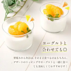缶詰 甘夏みかん缶詰（全粒）12缶入 007-029