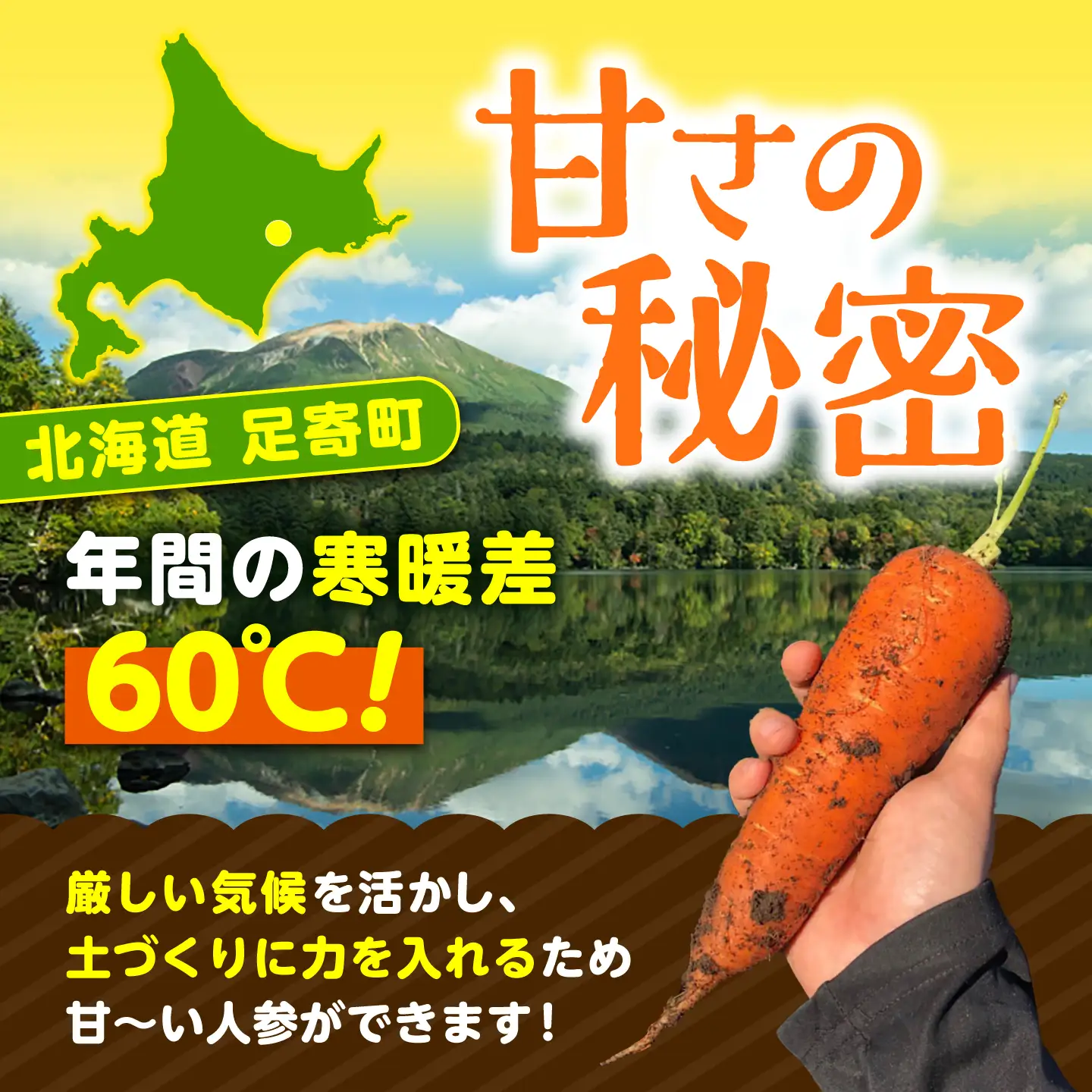 【先行予約】北海道にんじん 1kg(土付き)にんじん [BEBA001]