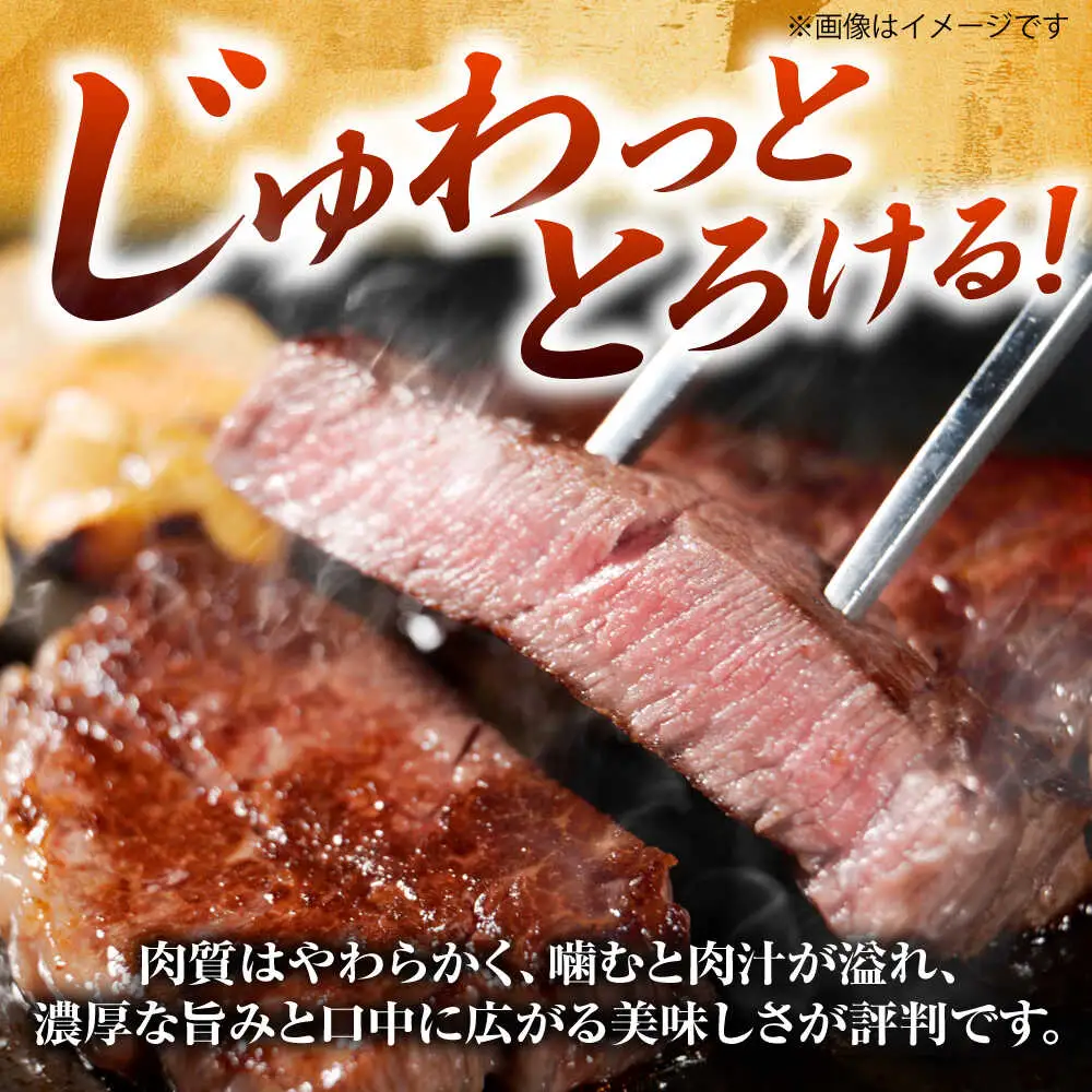 博多和牛 牛肉 ヒレ 150g×3枚 BGAB009 ヒレステーキ