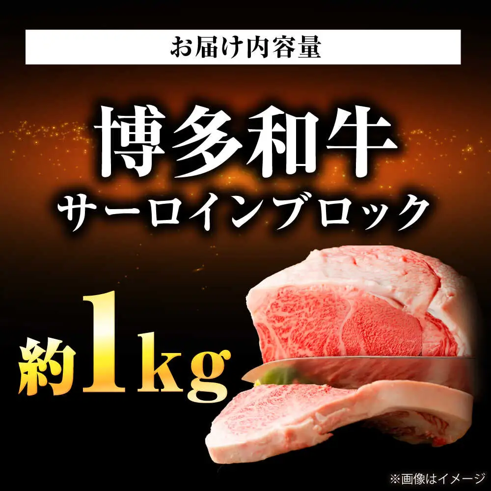 博多和牛 サーロインブロック 約1kg[BGAB011] ステーキ ブロック肉 国産牛