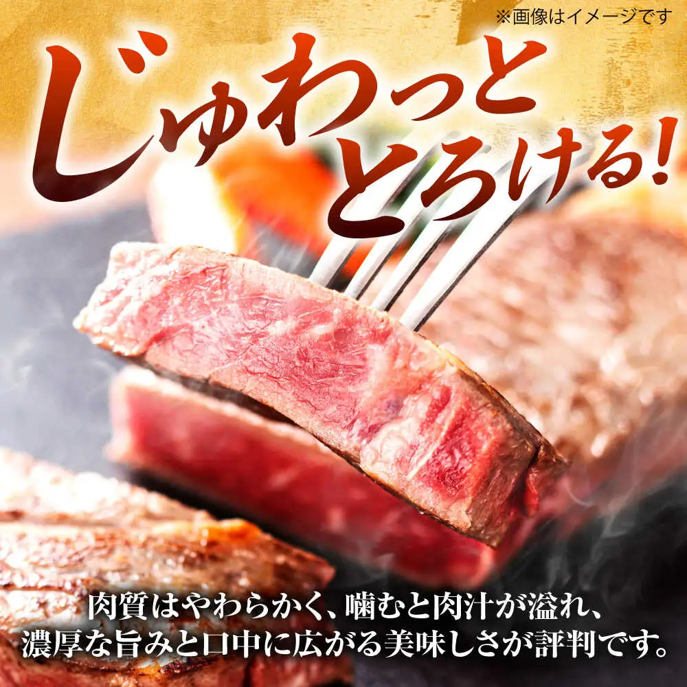 博多和牛 サーロインステーキ 4枚[BGAB014]さーろいん ステーキ 牛肉 国産