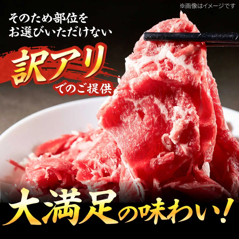 【訳あり】博多和牛 スライス&切り落とし750g [BGAB020]訳あり 牛肉