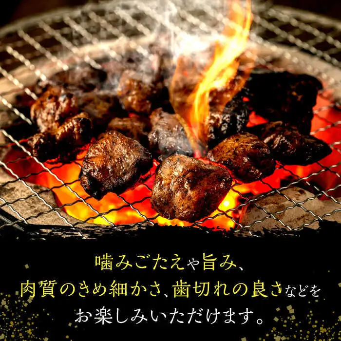 はかた地鶏 炭火焼セット 100g×5P[BGAB028] 地鶏 おつまみ