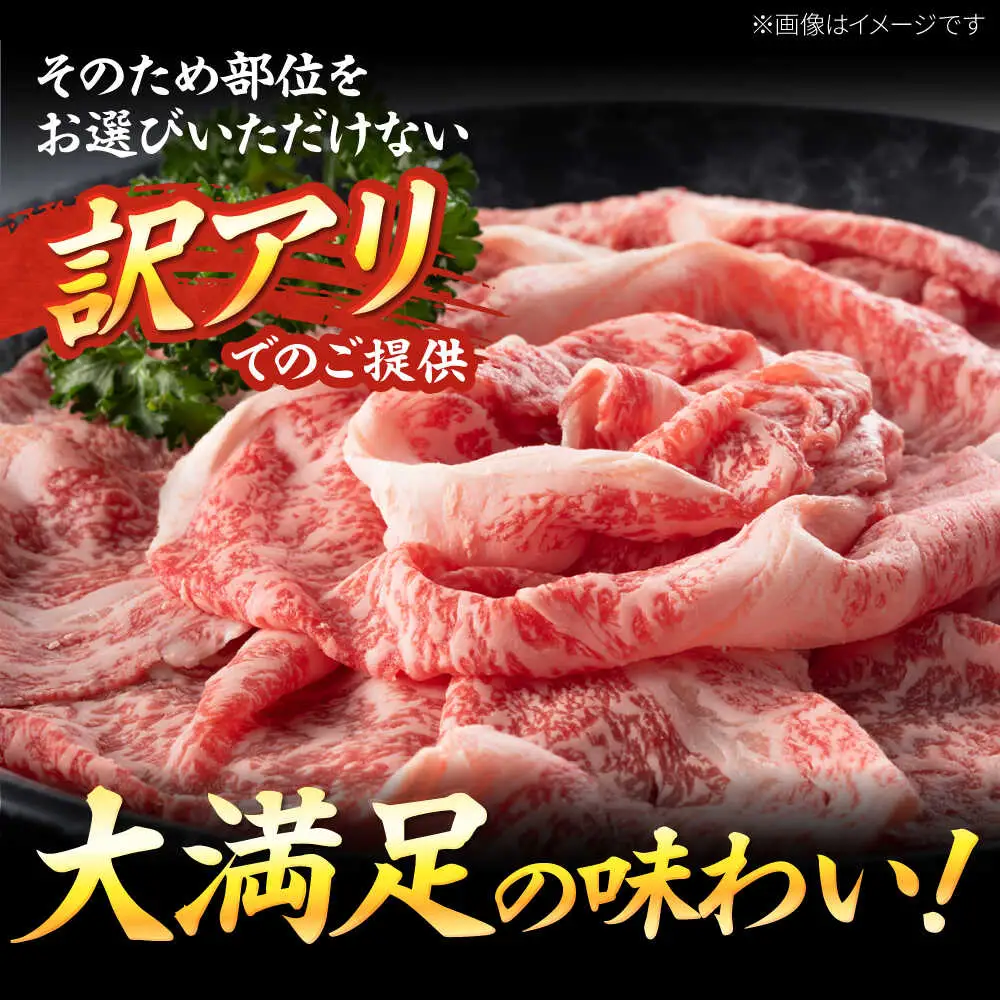 【訳あり】博多和牛シャブシャブ用 700g[BGAB039] 黒毛和牛 牛しゃぶ 牛肉