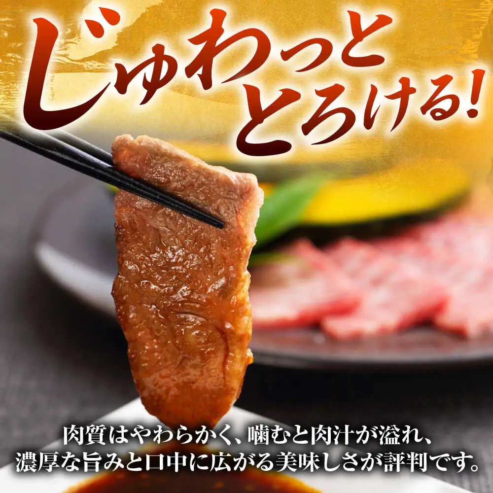 【A4~A5】博多和牛 焼肉用 500g[BGAB064] 博多和牛