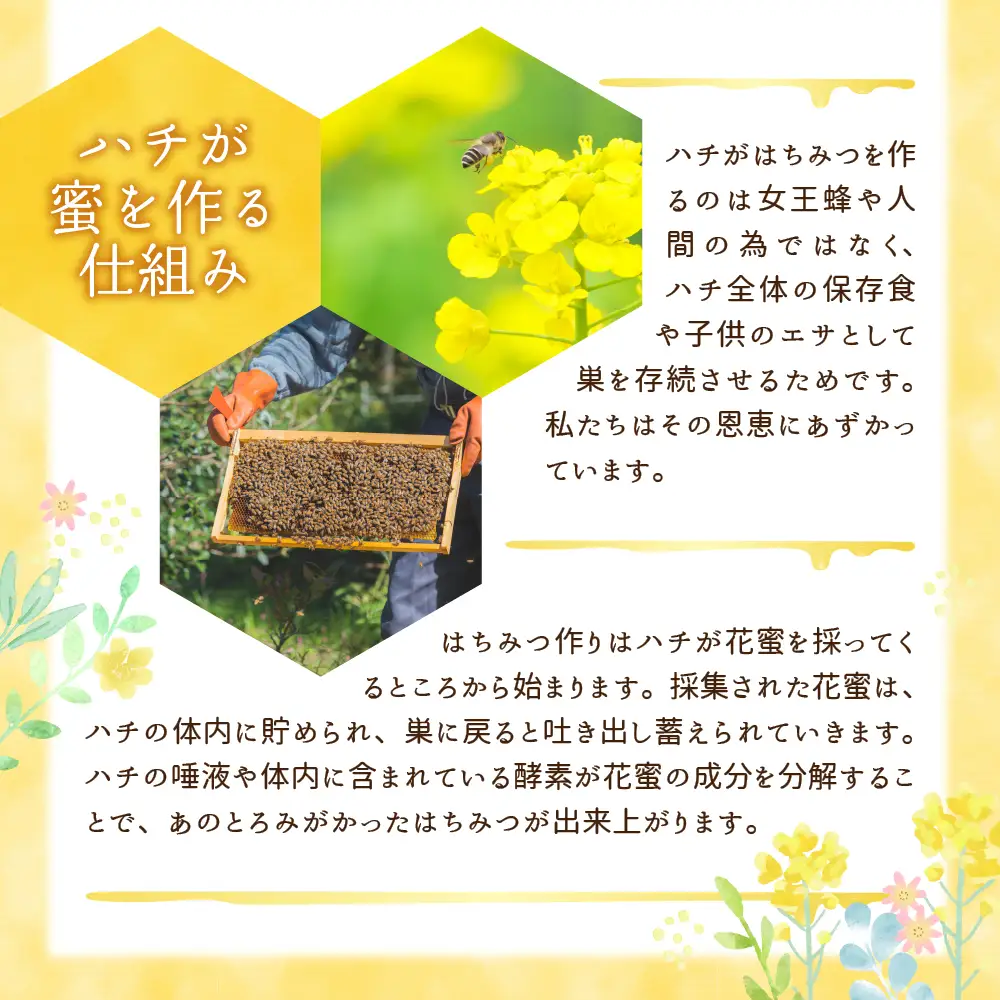 《2026年8月発送》はちみつ 【千代田町の蜂蜜】600g 百花蜂蜜 群馬県 千代田町 ＜田代養蜂場＞※沖縄・離島配送不可 