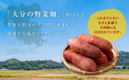 171-1130x2 【先行予約】 高糖度さつまいも 甘太くん 約1.8kg（Lサイズ3本・Mサイズ5本） 小箱 サツマイモ 甘藷 かんしょ おやつ 焼き芋 【2026年12月上旬から2027年4月下旬発送予定】