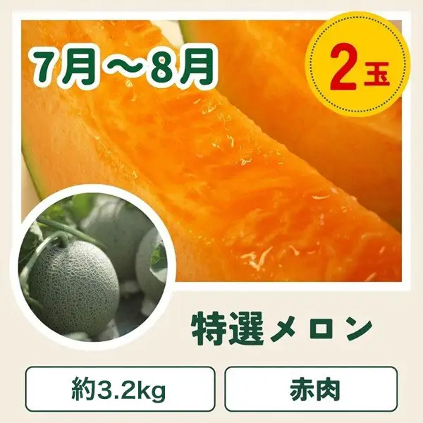 野菜セット 【令和9年産予約受付】5回 定期便 美瑛の四季 白金（大） 野菜詰め合わせ