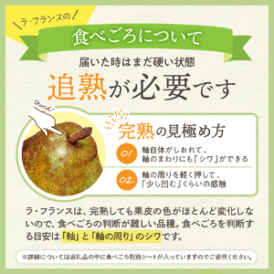 【2026年産】東根秋果実満喫セットサンふじ&ラフ&シャイン フルーツ