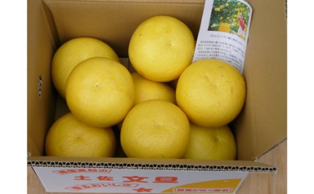 土佐文旦 10kg 家庭用B フルーツ