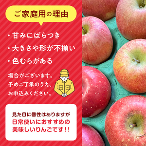＜先行予約＞福島県産 家庭用 りんご サンふじ 10kg （24玉～40玉） リンゴ フルーツ 果物 F6Q-292