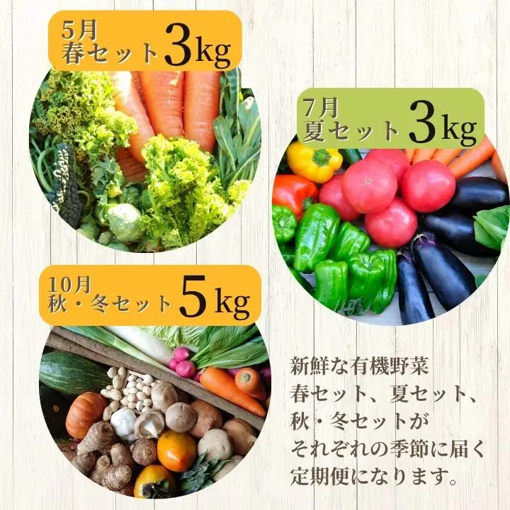 定期便 全3回 季節の有機野菜セット【一般社団法人二本松有機農業研究会】