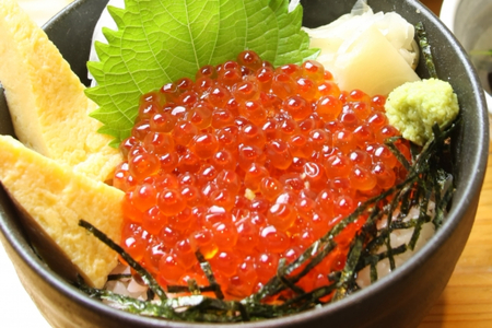 えりも産醤油いくら（200g）【er003-021-a】いくら イクラ 鮭いくら さけいくら 醤油漬 醤油漬け 鮭 さけ サケ しゃけ シャケ 鮭卵 魚卵 いくら丼 イクラ丼 魚 魚介類 魚介 海鮮 海の幸 海産物 冷凍 冷凍便 お取り寄せ グルメ 送料無料 国産 北海道産 北海道 えりも町