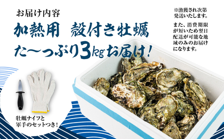 【先行予約】殻付き 生牡蠣 3kg 加熱用 軍手・牡蠣ナイフ付 牡蠣 カキ かき 生 殻付牡蠣 フライ 鍋 バーベキュー BBQ 海鮮 魚介 魚貝 貝 魚介類 新鮮 渥美半島 田原市 愛知県 国産 海産物 オイスター 海の ミルク 軍手 牡蠣 ナイフ 付 冬 - 春