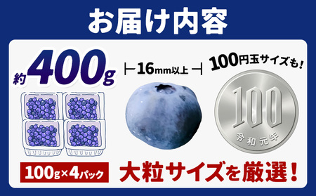 ブルーベリー 大粒 計400g ベリーの宝石箱