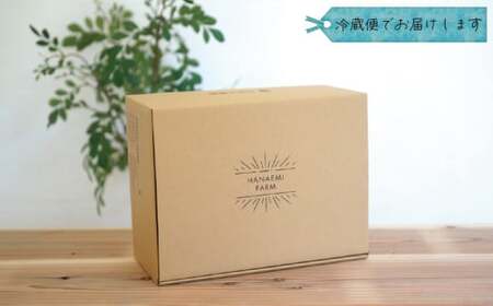 ぶどう 岡山県産 ぶどうBKシードレス家庭用2kg（3～6房） 【hana029-02】