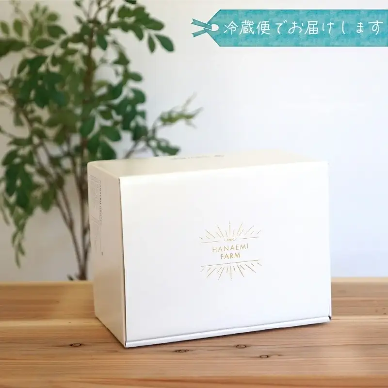 ぶどう 食べ比べ ニューピオーネ&BKシードレス 1kg(2房) 岡山県産ぶどう 【hana026-02】
