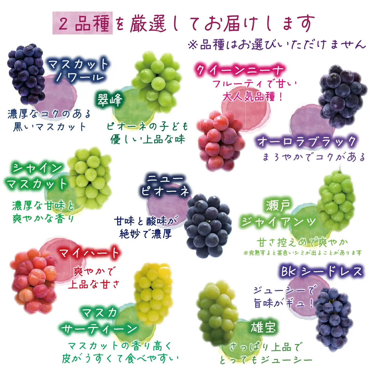 【2026年先行予約】 訳あり 花笑み農園の ぶどうおまかせ2種 （計1kg分お届け！） 岡山 【hana049-02】